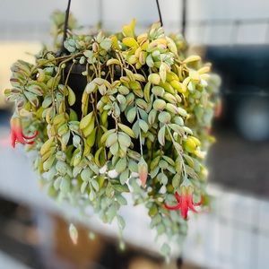 Meet your Posher, Marta